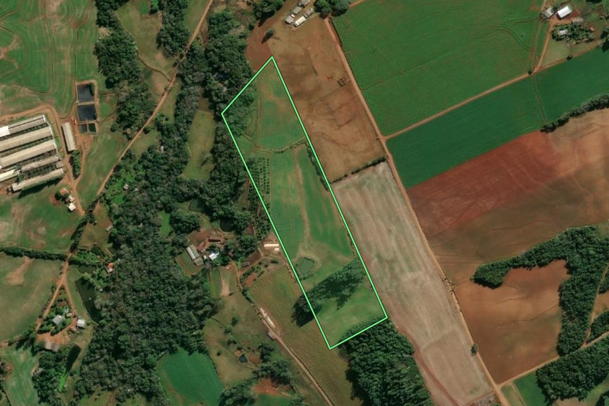 Imagem de satélite do imóvel rural em Santo Cristo (RS), com o contorno declarado no CAR desenhado por cima.