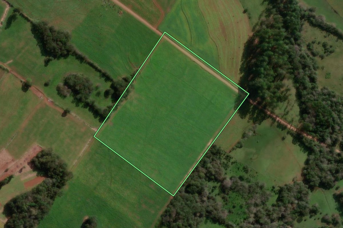 Imagem de satélite do imóvel rural em Santo Cristo (RS), com o contorno declarado no CAR desenhado por cima.