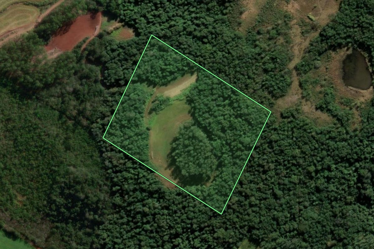 Imagem de satélite do imóvel rural em Santo Cristo (RS), com o contorno declarado no CAR desenhado por cima.