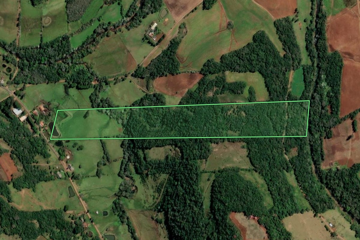 Imagem de satélite do imóvel rural em Santo Cristo (RS), com o contorno declarado no CAR desenhado por cima.