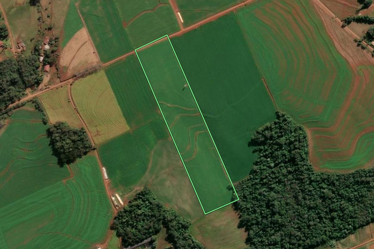 Imagem de satélite do imóvel rural em Santo Cristo (RS), com o contorno declarado no CAR desenhado por cima.