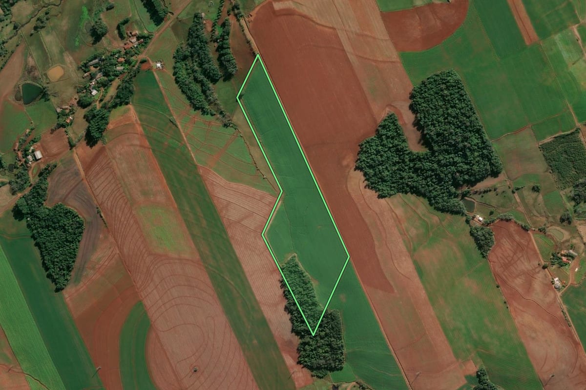 Imagem de satélite do imóvel rural em Santo Cristo (RS), com o contorno declarado no CAR desenhado por cima.