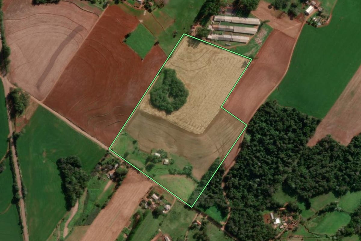 Imagem de satélite do imóvel rural em Santo Cristo (RS), com o contorno declarado no CAR desenhado por cima.
