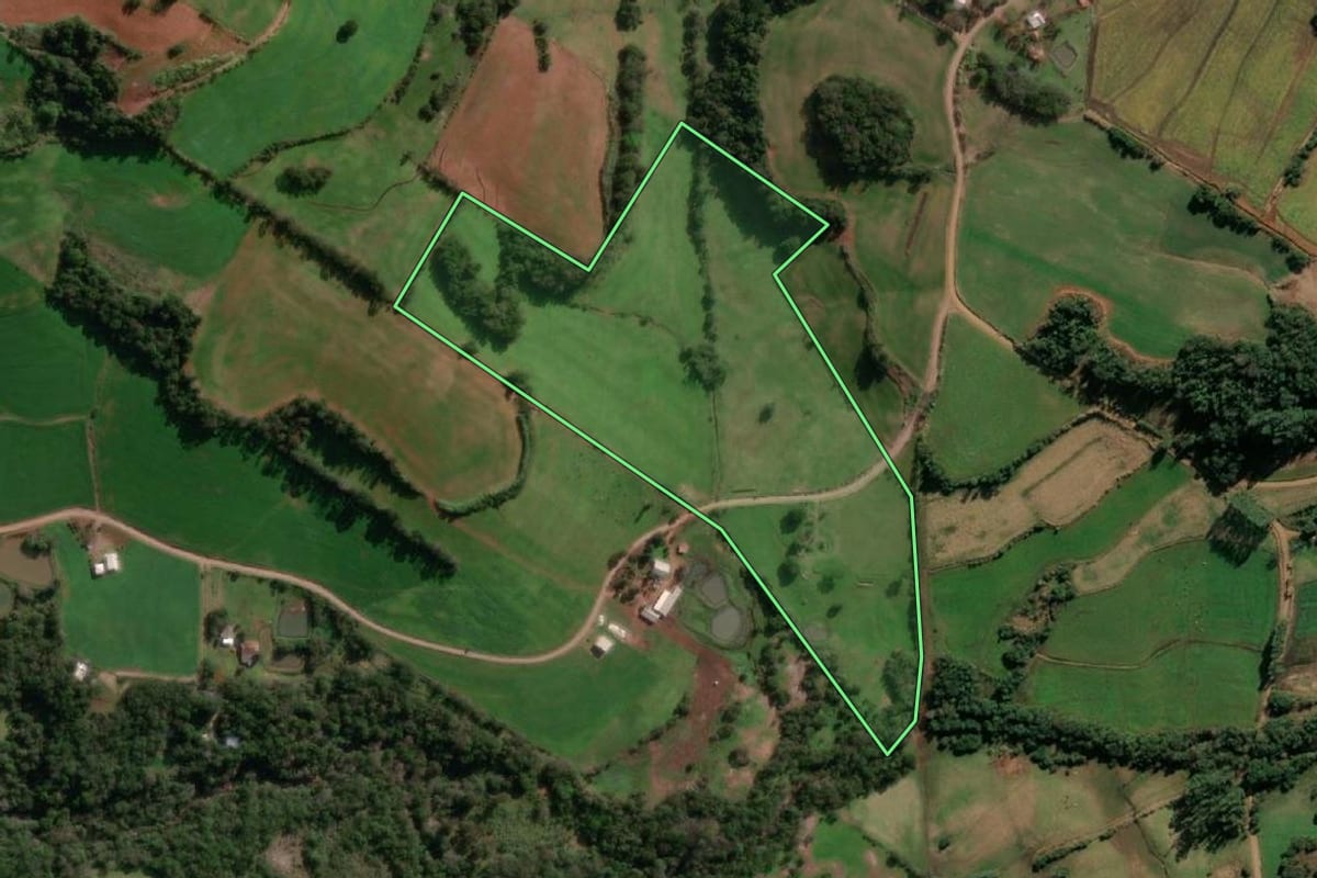 Imagem de satélite do imóvel rural em Santo Cristo (RS), com o contorno declarado no CAR desenhado por cima.