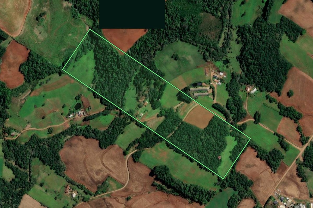 Imagem de satélite do imóvel rural em Santo Cristo (RS), com o contorno declarado no CAR desenhado por cima.