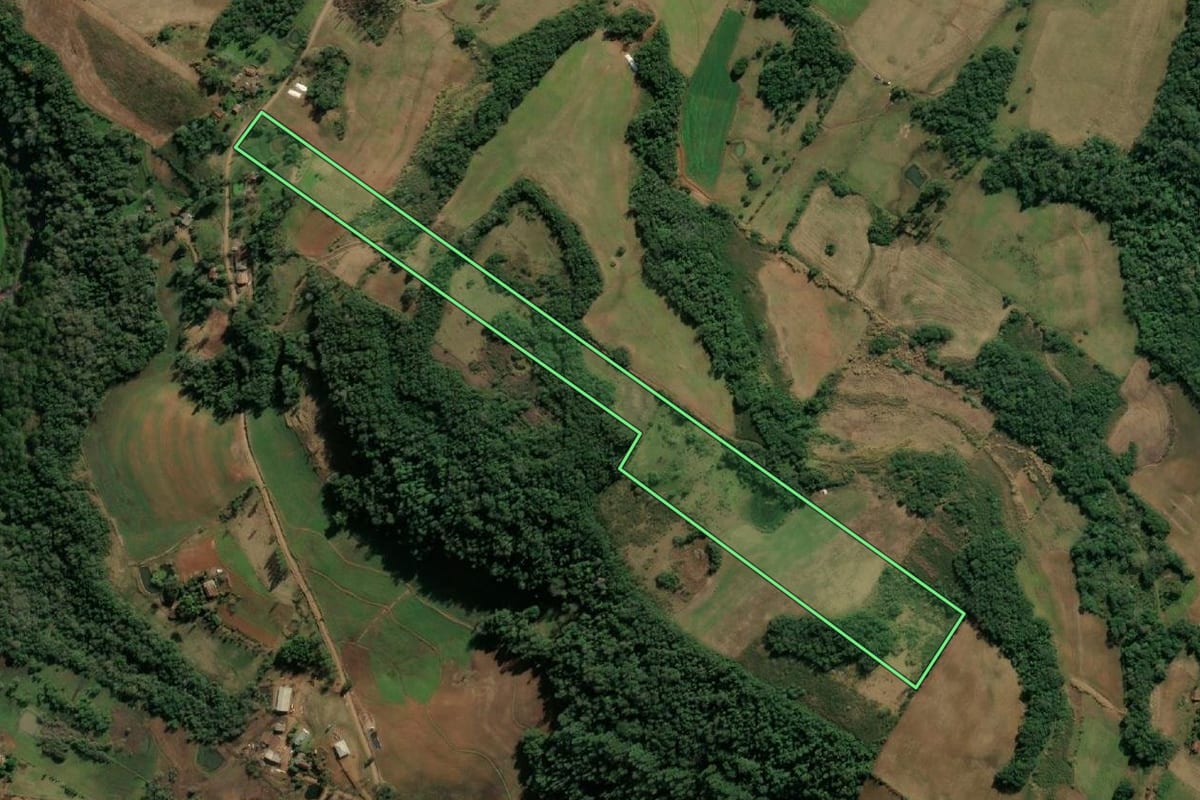 Imagem de satélite do imóvel rural em Santo Cristo (RS), com o contorno declarado no CAR desenhado por cima.