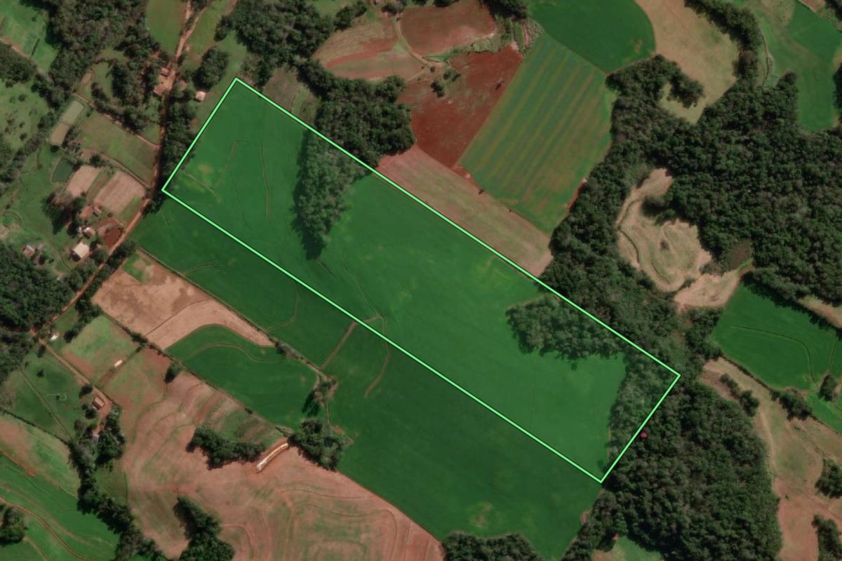 Imagem de satélite do imóvel rural em Santo Cristo (RS), com o contorno declarado no CAR desenhado por cima.