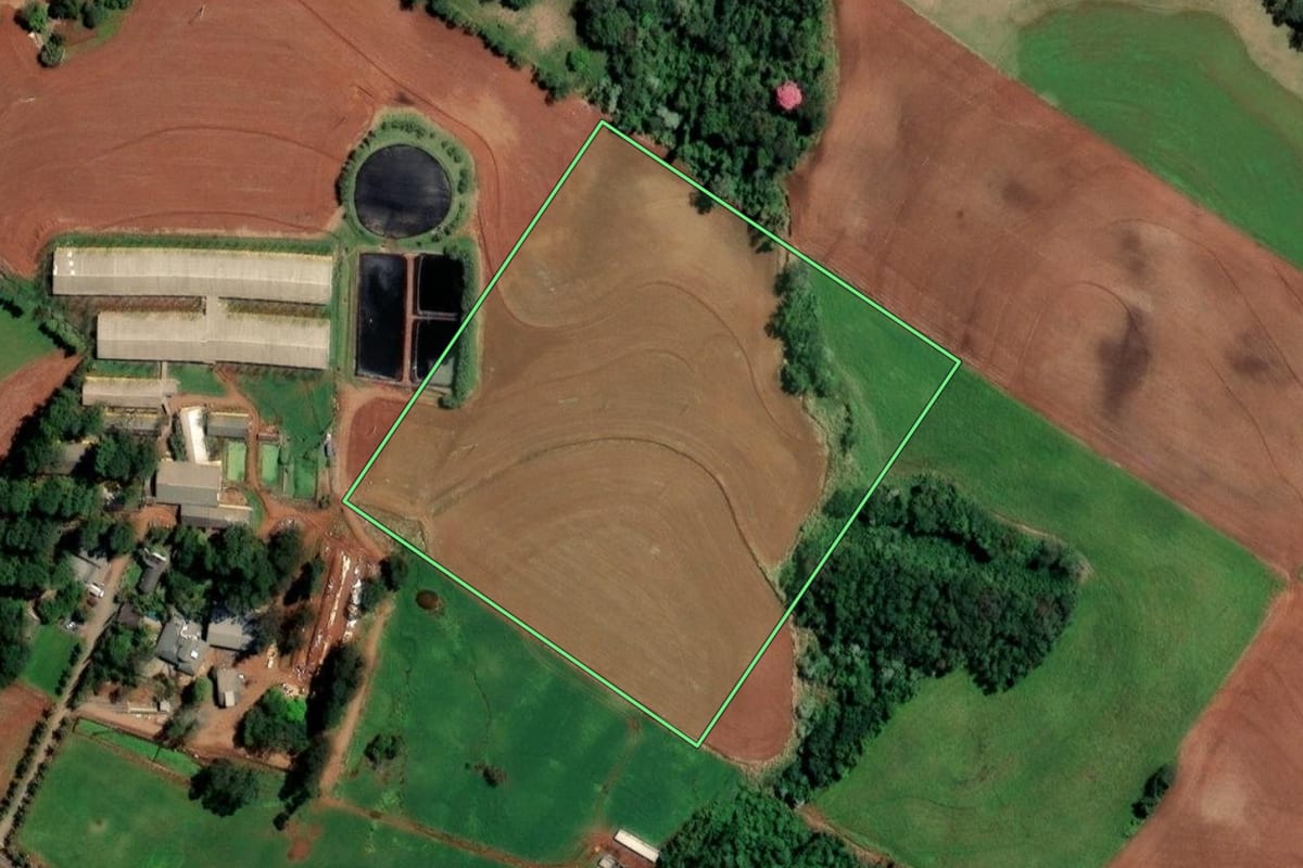 Imagem de satélite do imóvel rural em Santo Cristo (RS), com o contorno declarado no CAR desenhado por cima.