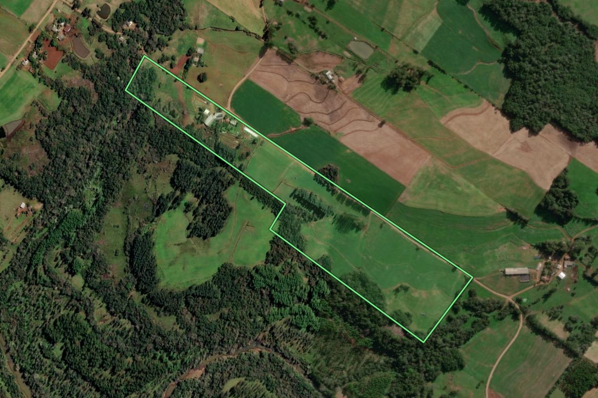 Imagem de satélite do imóvel rural em Santo Cristo (RS), com o contorno declarado no CAR desenhado por cima.