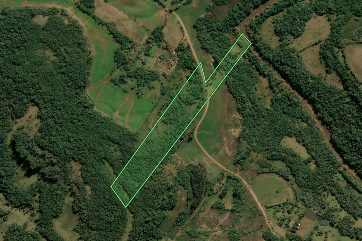 Imagem de satélite do imóvel rural em Santo Cristo (RS), com o contorno declarado no CAR desenhado por cima.