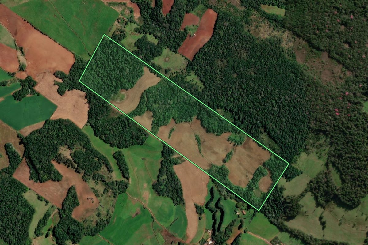 Imagem de satélite do imóvel rural em Santo Cristo (RS), com o contorno declarado no CAR desenhado por cima.