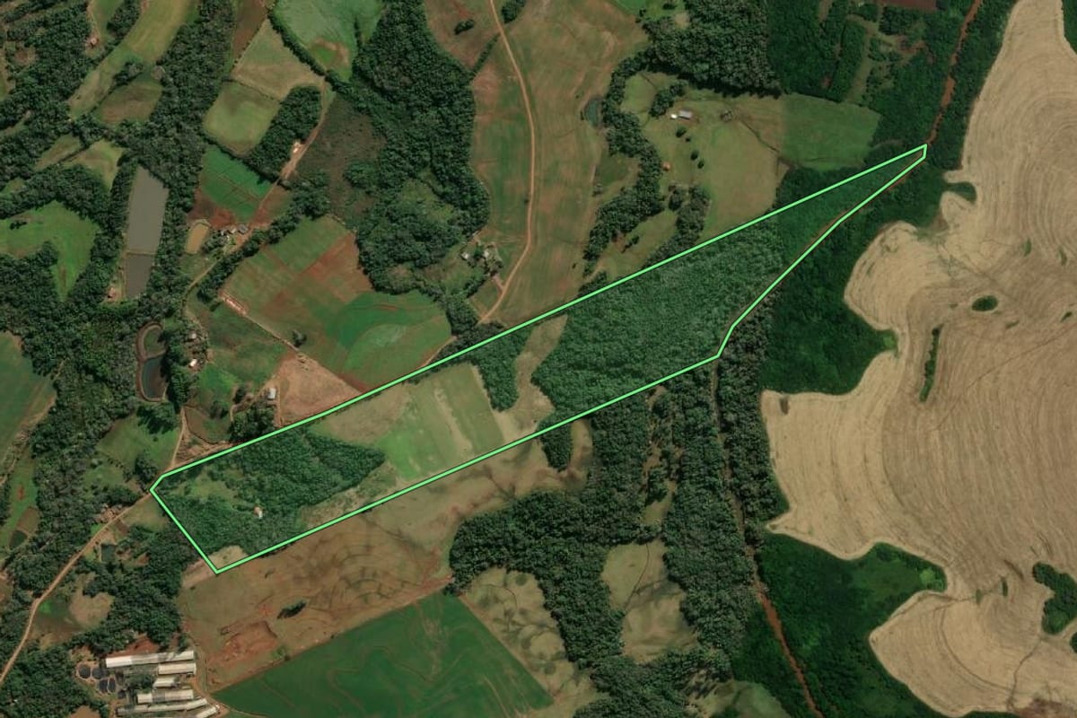 Imagem de satélite do imóvel rural em Santo Cristo (RS), com o contorno declarado no CAR desenhado por cima.