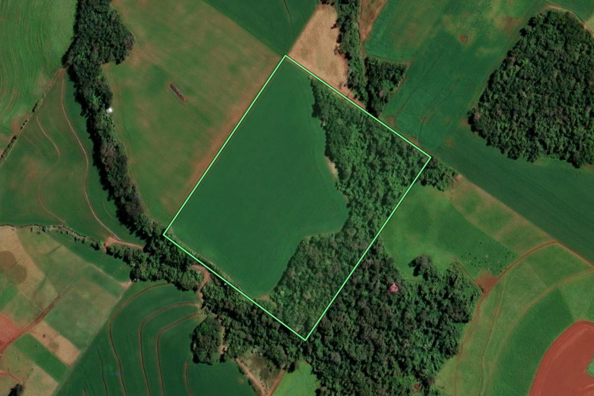 Imagem de satélite do imóvel rural em Santo Cristo (RS), com o contorno declarado no CAR desenhado por cima.