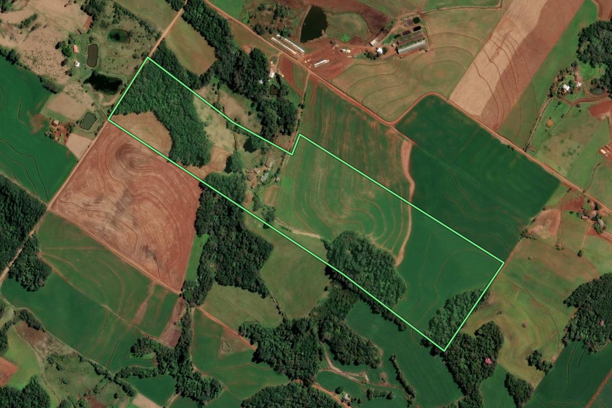 Imagem de satélite do imóvel rural em Santo Cristo (RS), com o contorno declarado no CAR desenhado por cima.