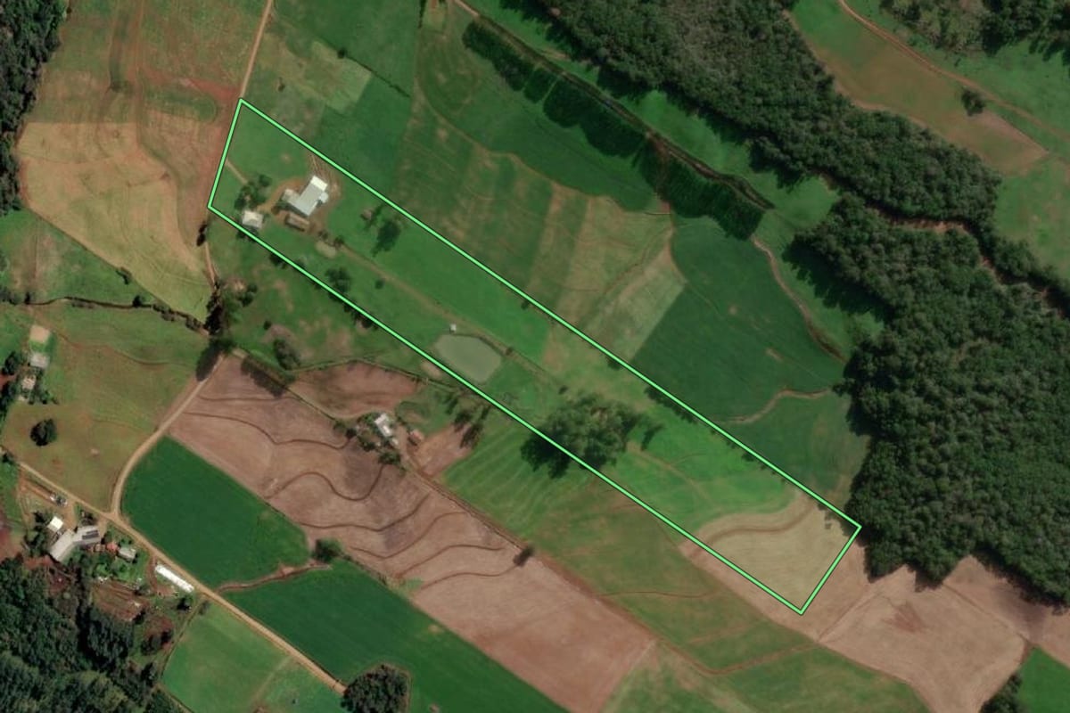 Imagem de satélite do imóvel rural em Santo Cristo (RS), com o contorno declarado no CAR desenhado por cima.
