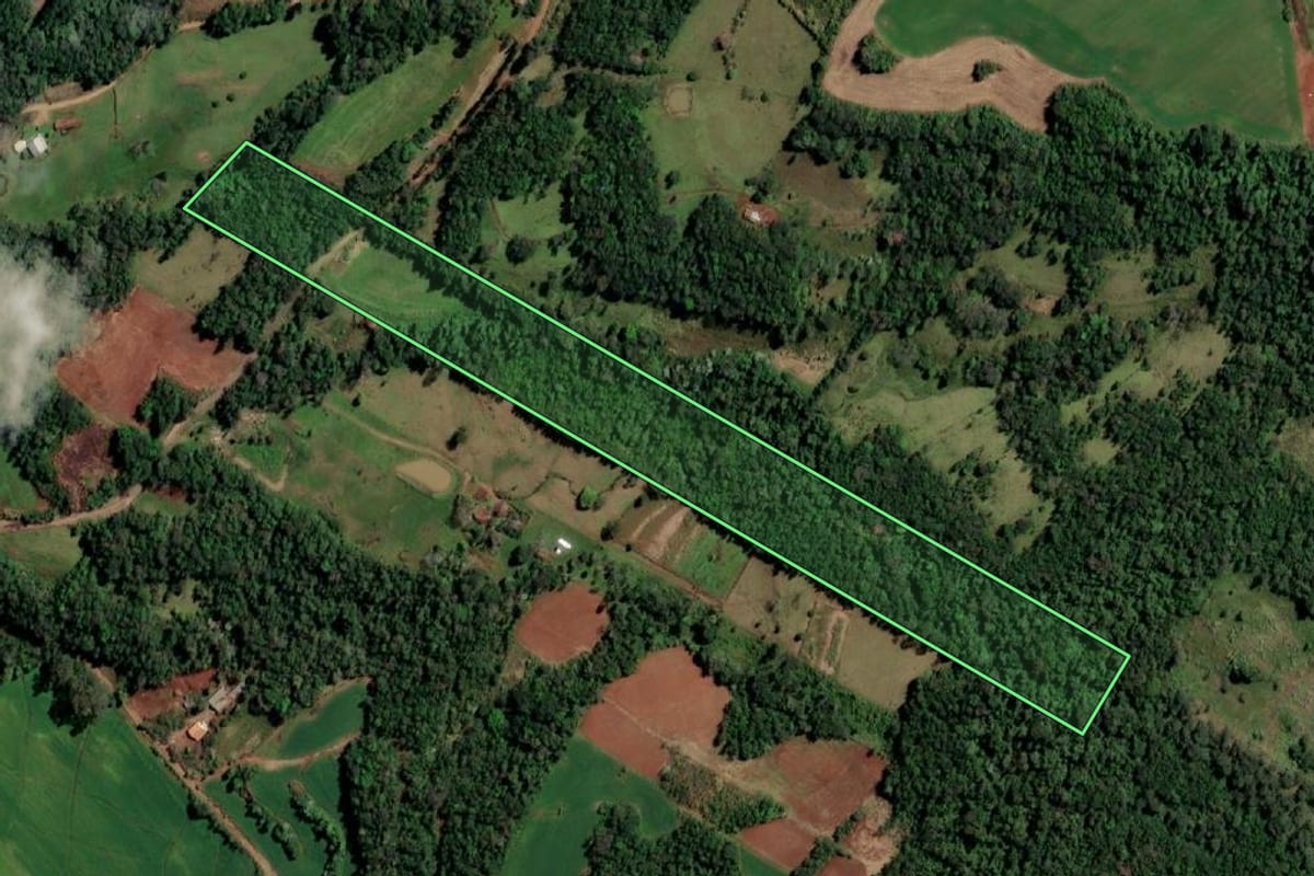 Imagem de satélite do imóvel rural em Santo Cristo (RS), com o contorno declarado no CAR desenhado por cima.