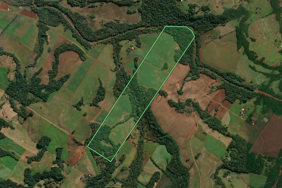 Imagem de satélite do imóvel rural em Santo Cristo (RS), com o contorno declarado no CAR desenhado por cima.