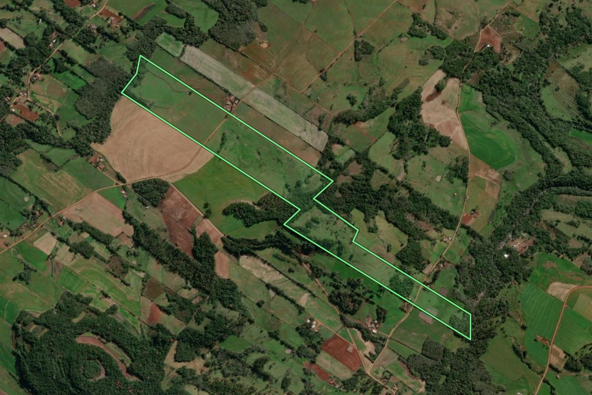 Imagem de satélite do imóvel rural em Santo Cristo (RS), com o contorno declarado no CAR desenhado por cima.