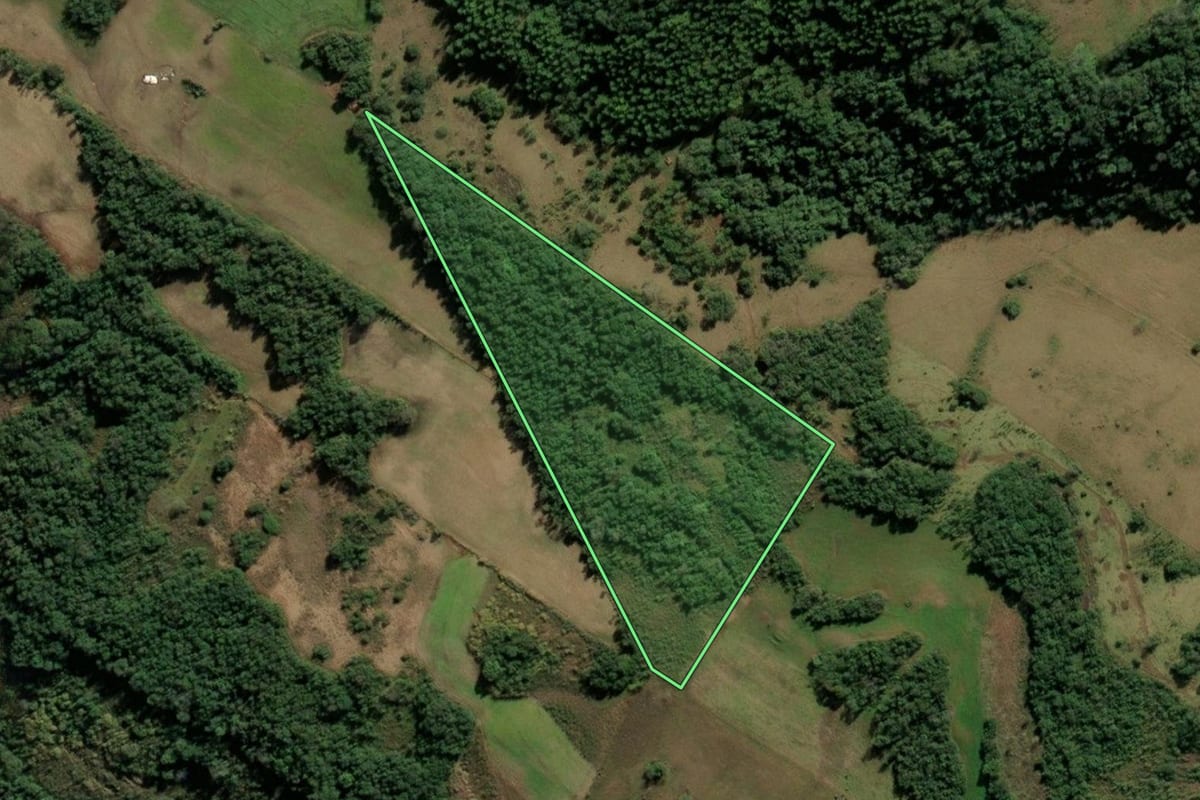 Imagem de satélite do imóvel rural em Santo Cristo (RS), com o contorno declarado no CAR desenhado por cima.