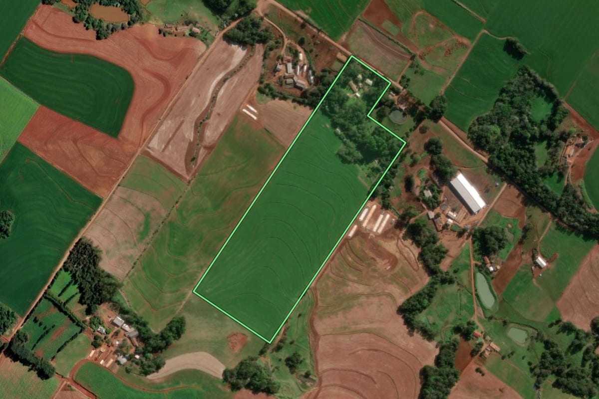 Imagem de satélite do imóvel rural em Santo Cristo (RS), com o contorno declarado no CAR desenhado por cima.