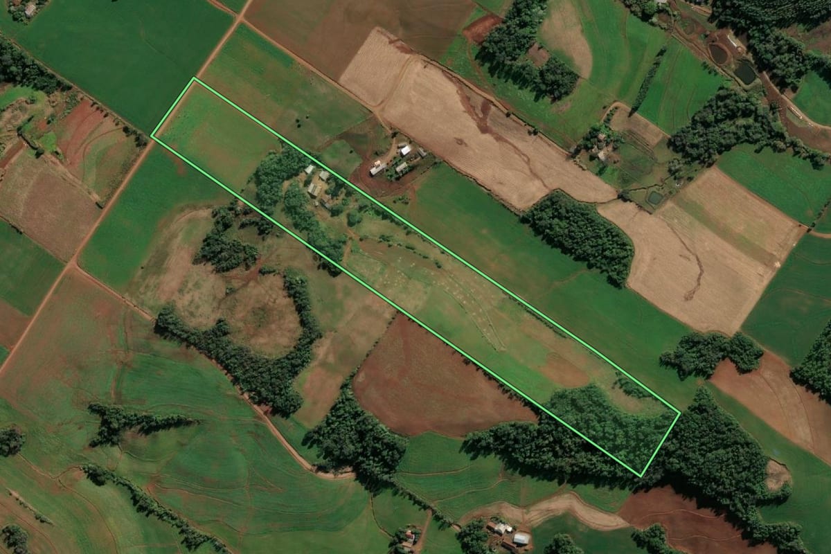 Imagem de satélite do imóvel rural em Santo Cristo (RS), com o contorno declarado no CAR desenhado por cima.