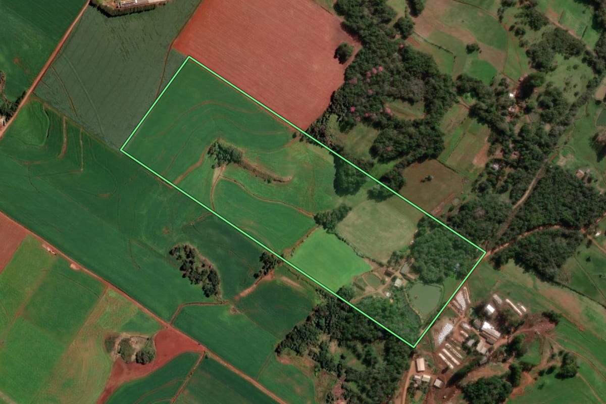 Imagem de satélite do imóvel rural em Santo Cristo (RS), com o contorno declarado no CAR desenhado por cima.