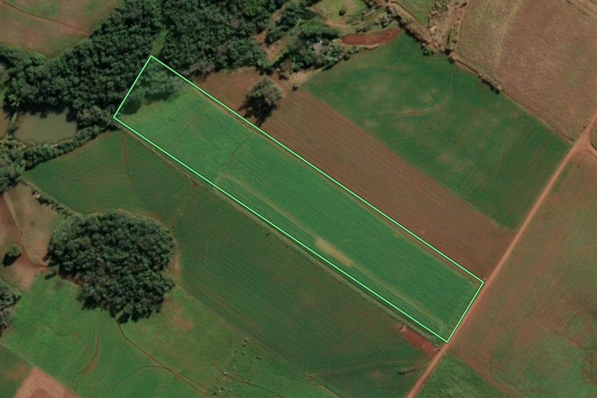 Imagem de satélite do imóvel rural em Santo Cristo (RS), com o contorno declarado no CAR desenhado por cima.