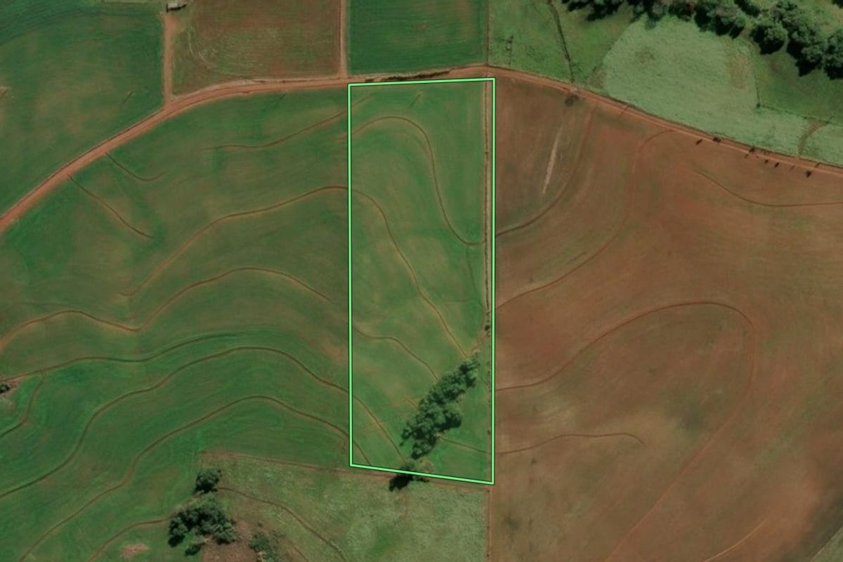Imagem de satélite do imóvel rural em Santo Cristo (RS), com o contorno declarado no CAR desenhado por cima.