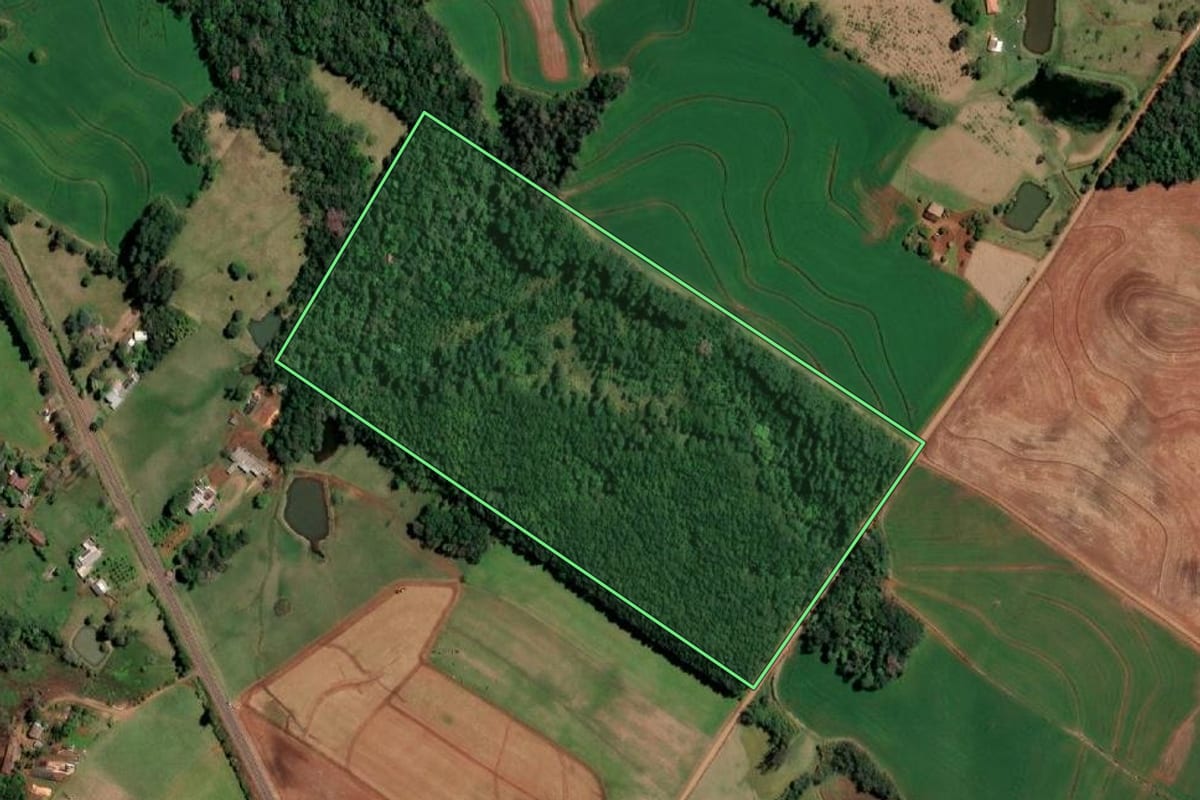 Imagem de satélite do imóvel rural em Santo Cristo (RS), com o contorno declarado no CAR desenhado por cima.
