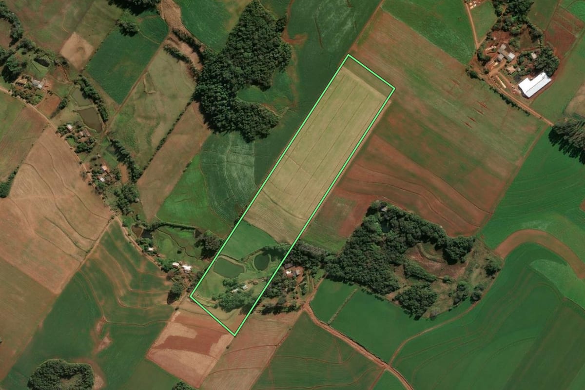 Imagem de satélite do imóvel rural em Santo Cristo (RS), com o contorno declarado no CAR desenhado por cima.