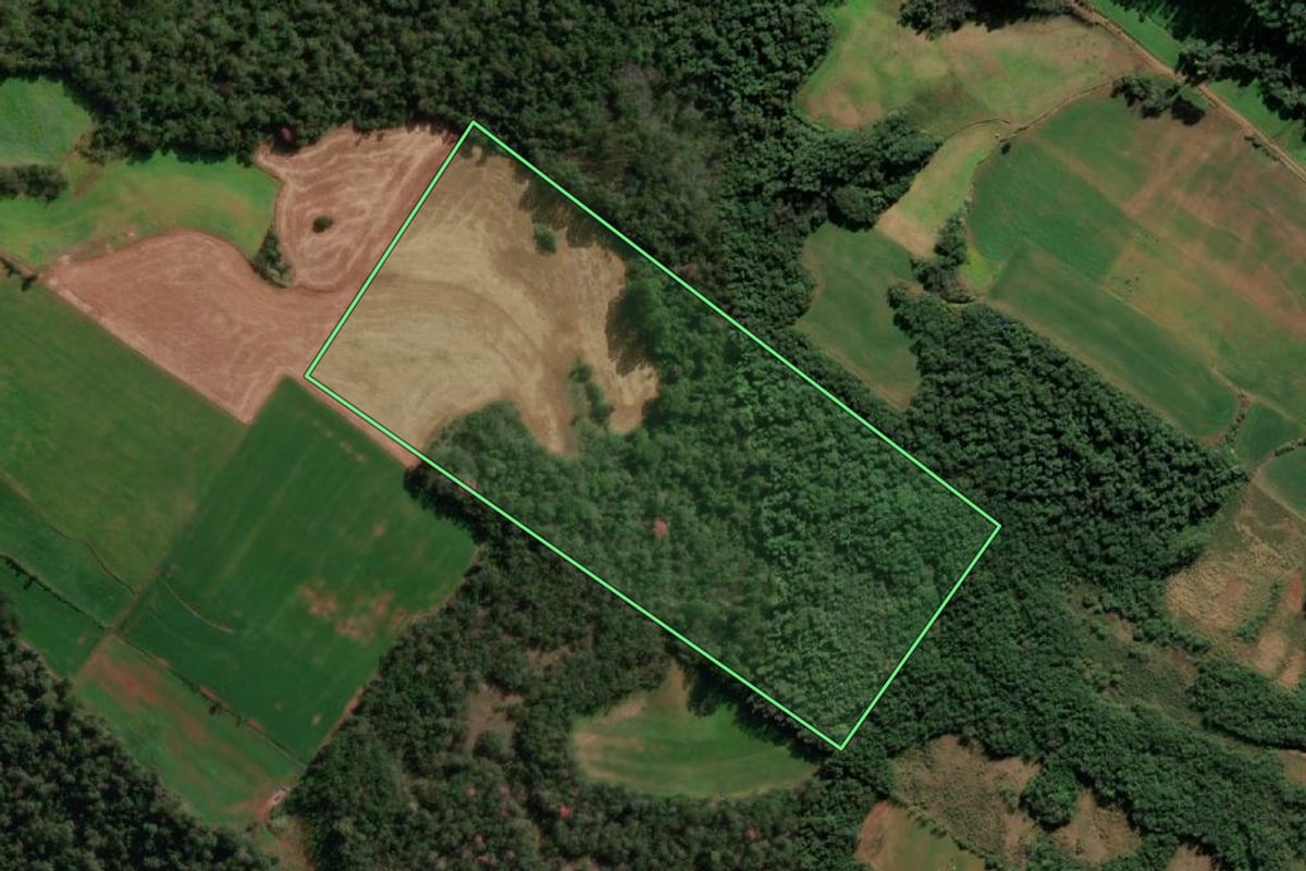 Imagem de satélite do imóvel rural em Santo Cristo (RS), com o contorno declarado no CAR desenhado por cima.