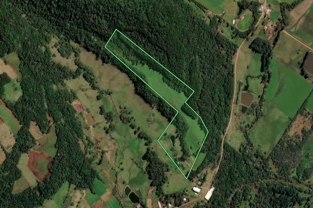 Imagem de satélite do imóvel rural em Santo Cristo (RS), com o contorno declarado no CAR desenhado por cima.