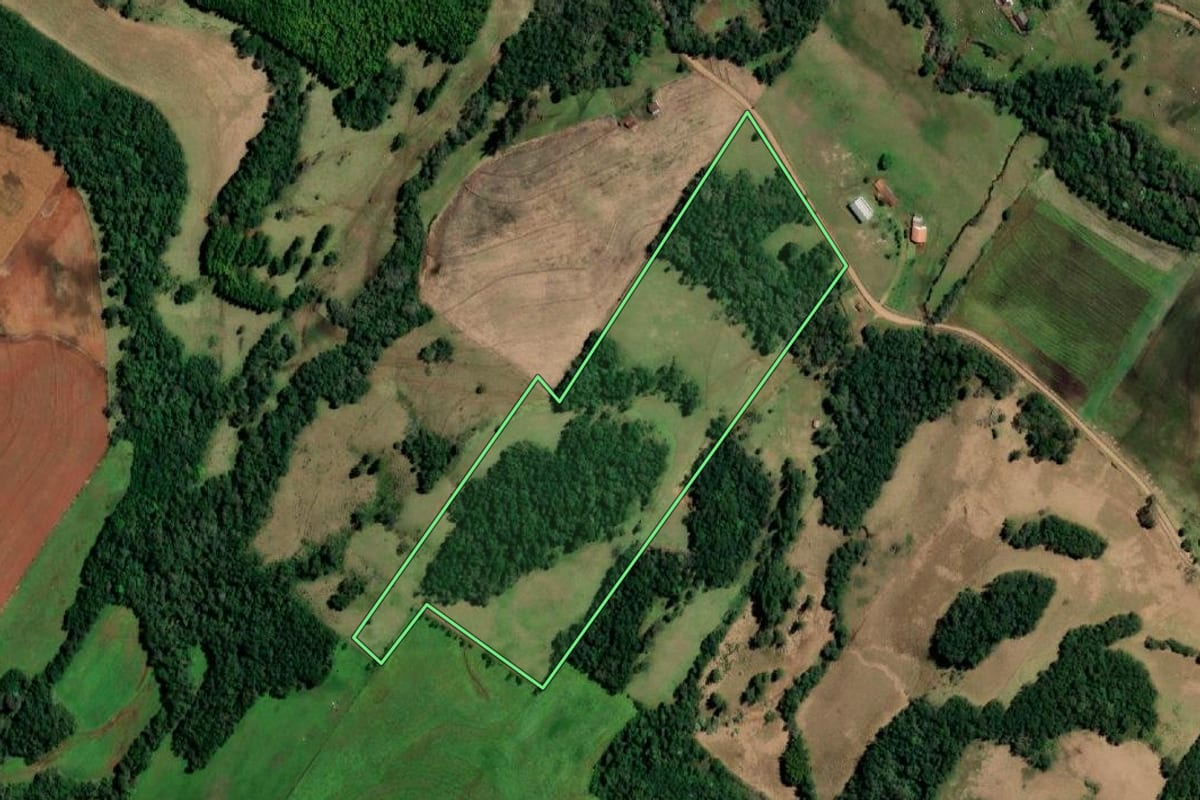 Imagem de satélite do imóvel rural em Santo Cristo (RS), com o contorno declarado no CAR desenhado por cima.