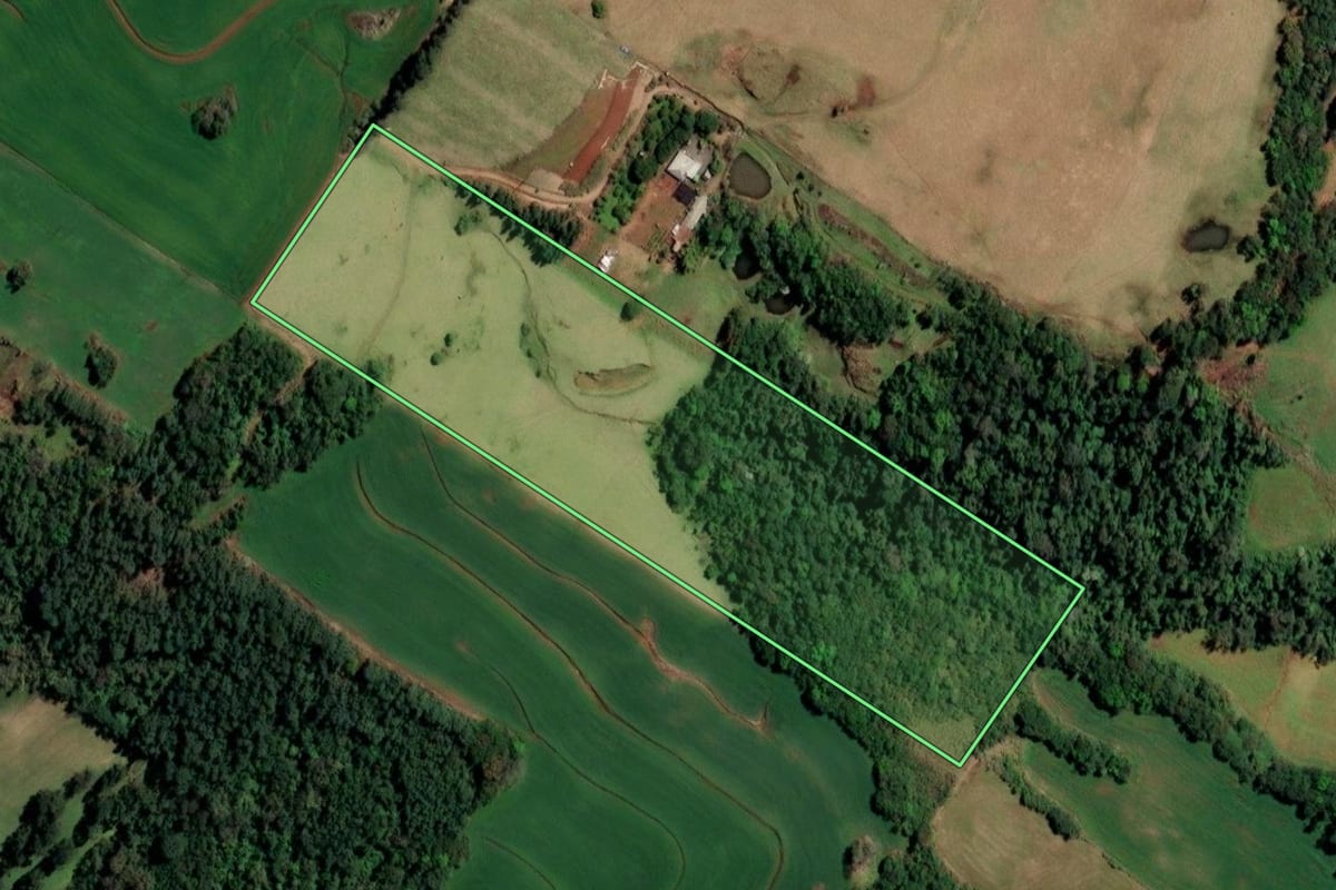 Imagem de satélite do imóvel rural em Santo Cristo (RS), com o contorno declarado no CAR desenhado por cima.