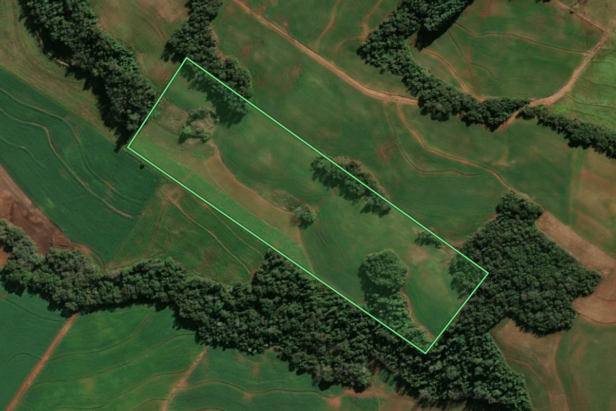 Imagem de satélite do imóvel rural em Santo Cristo (RS), com o contorno declarado no CAR desenhado por cima.
