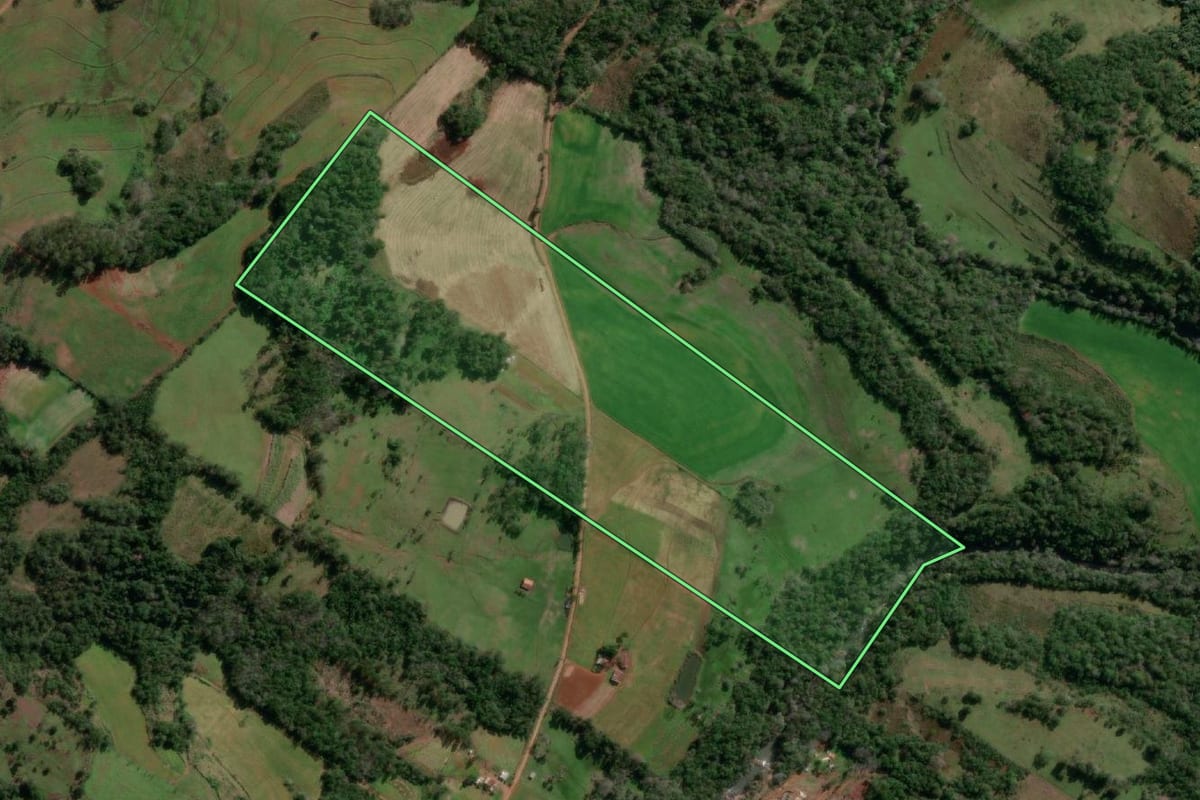 Imagem de satélite do imóvel rural em Santo Cristo (RS), com o contorno declarado no CAR desenhado por cima.