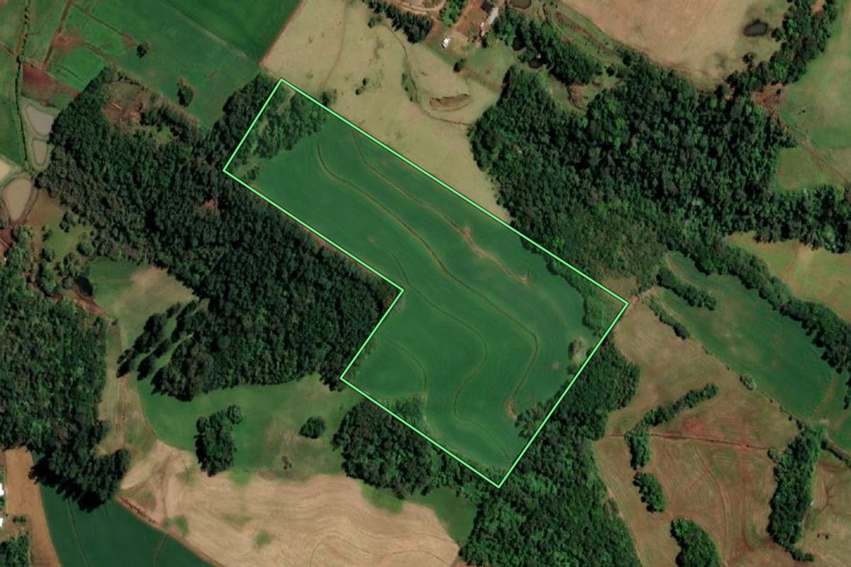 Imagem de satélite do imóvel rural em Santo Cristo (RS), com o contorno declarado no CAR desenhado por cima.