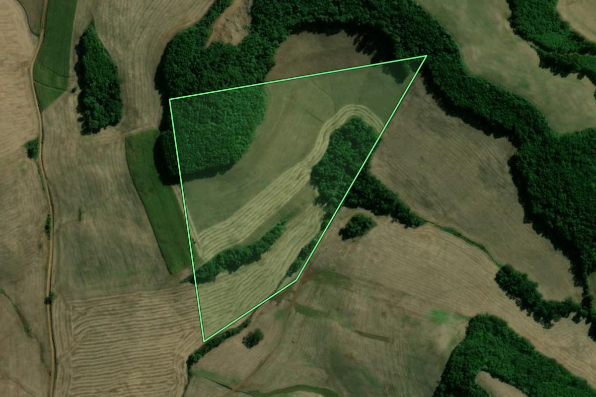 Imagem de satélite do imóvel rural em Santo Expedito do Sul (RS), com o contorno declarado no CAR desenhado por cima.