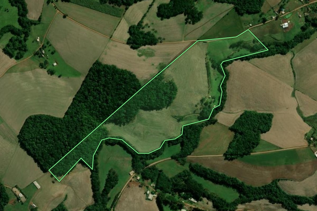 Imagem de satélite do imóvel rural em Santo Expedito do Sul (RS), com o contorno declarado no CAR desenhado por cima.