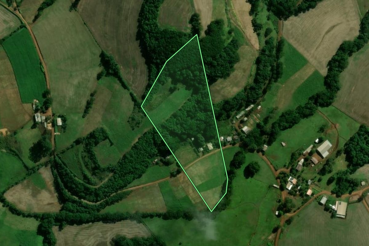 Imagem de satélite do imóvel rural em Santo Expedito do Sul (RS), com o contorno declarado no CAR desenhado por cima.
