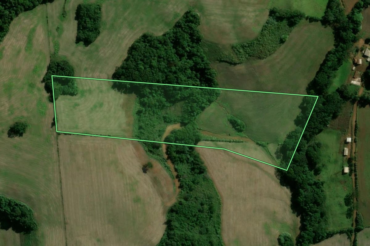 Imagem de satélite do imóvel rural em Santo Expedito do Sul (RS), com o contorno declarado no CAR desenhado por cima.