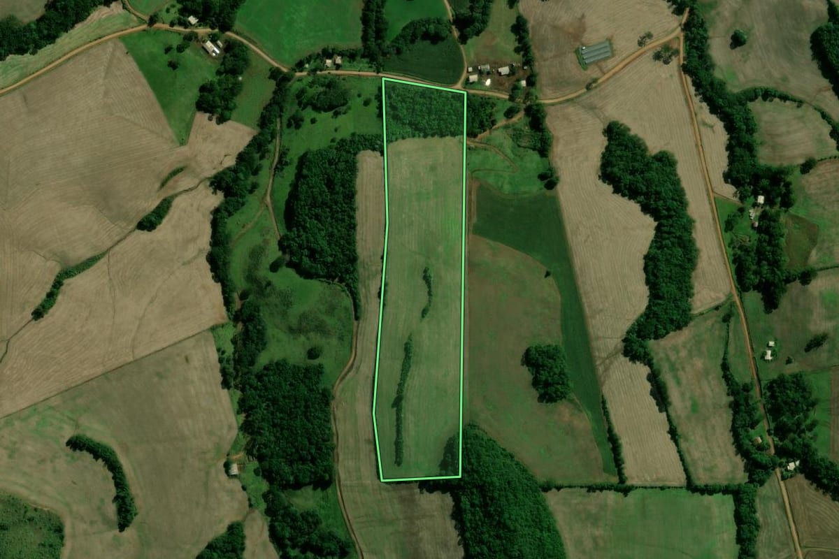 Imagem de satélite do imóvel rural em Santo Expedito do Sul (RS), com o contorno declarado no CAR desenhado por cima.