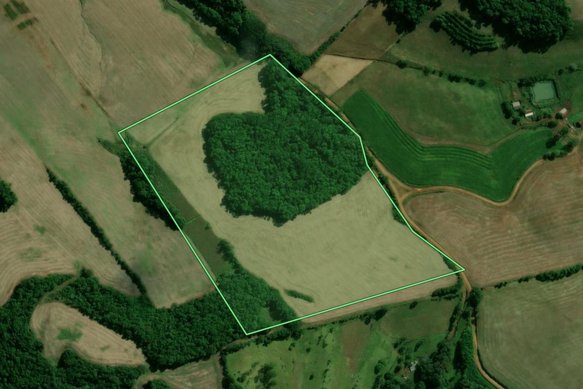 Imagem de satélite do imóvel rural em Santo Expedito do Sul (RS), com o contorno declarado no CAR desenhado por cima.