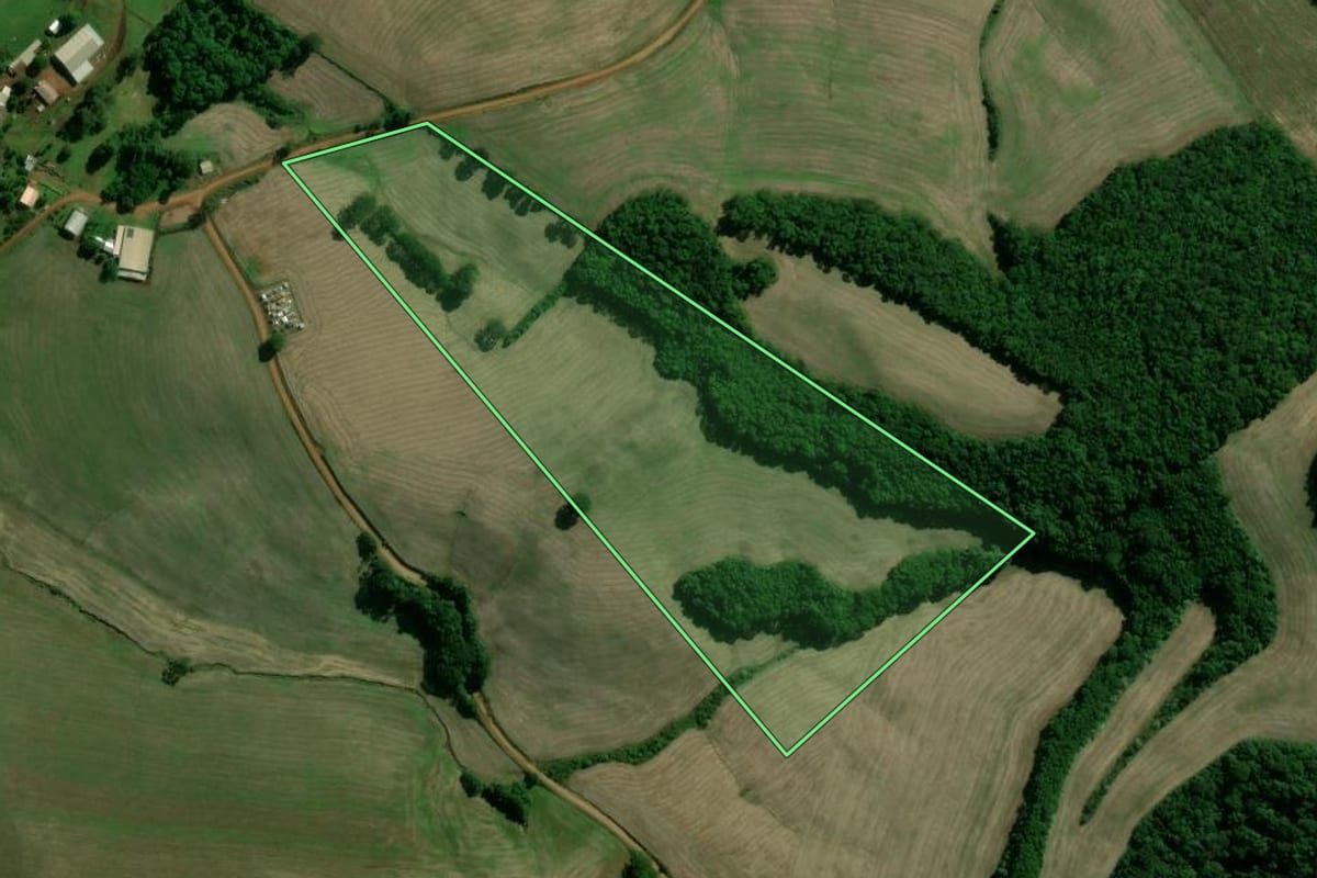 Imagem de satélite do imóvel rural em Santo Expedito do Sul (RS), com o contorno declarado no CAR desenhado por cima.