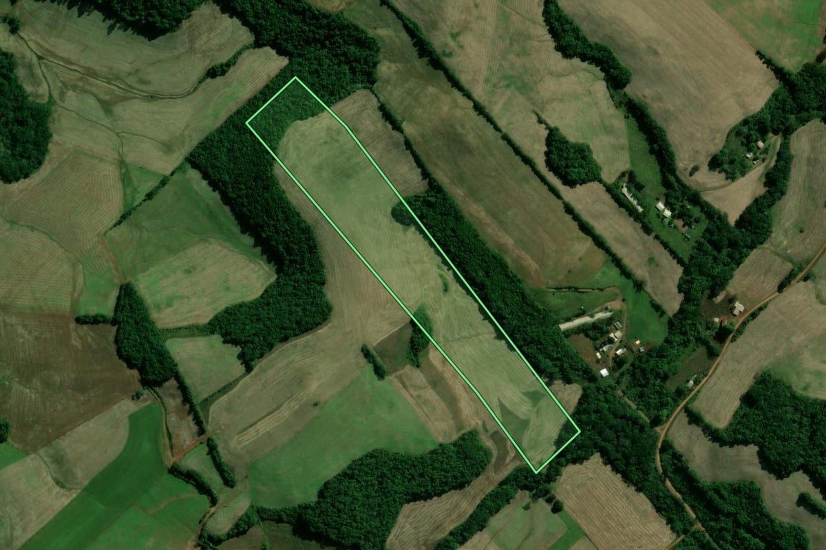 Imagem de satélite do imóvel rural em Santo Expedito do Sul (RS), com o contorno declarado no CAR desenhado por cima.