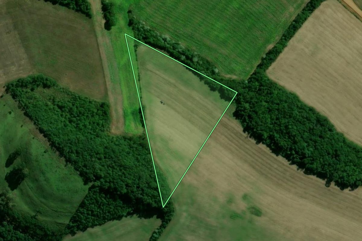 Imagem de satélite do imóvel rural em Santo Expedito do Sul (RS), com o contorno declarado no CAR desenhado por cima.