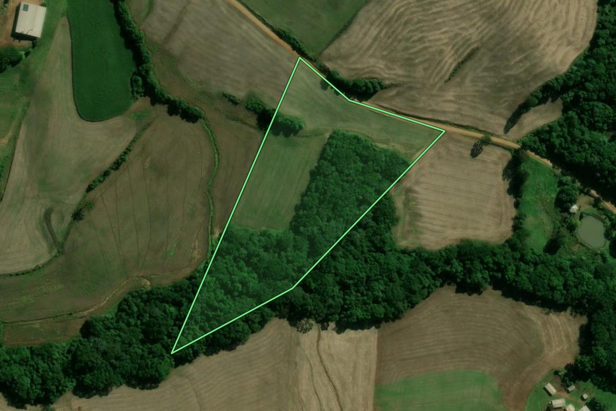 Imagem de satélite do imóvel rural em Santo Expedito do Sul (RS), com o contorno declarado no CAR desenhado por cima.