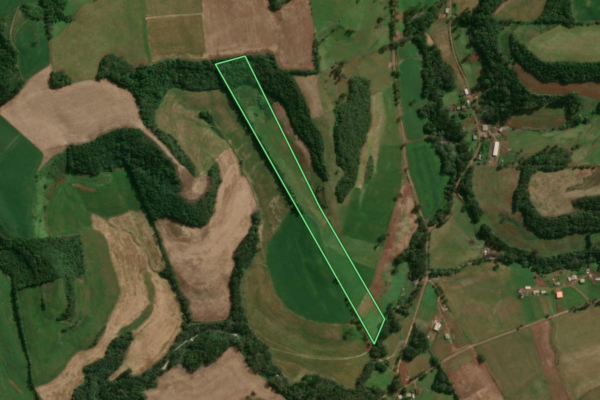 Imagem de satélite do imóvel rural em Santo Expedito do Sul (RS), com o contorno declarado no CAR desenhado por cima.