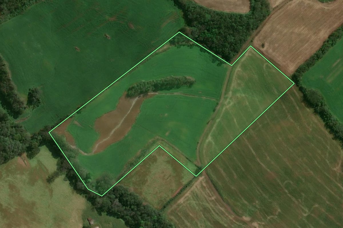 Imagem de satélite do imóvel rural em Santo Expedito do Sul (RS), com o contorno declarado no CAR desenhado por cima.
