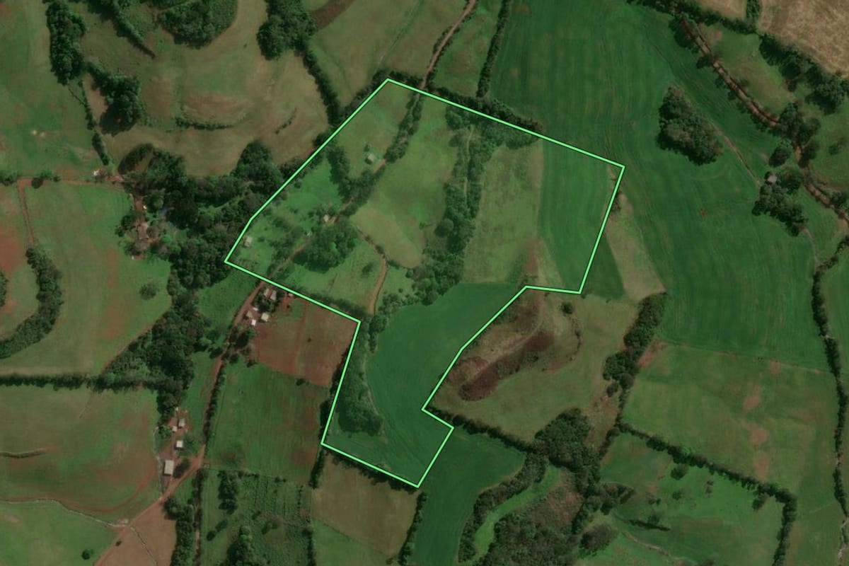 Imagem de satélite do imóvel rural em Santo Expedito do Sul (RS), com o contorno declarado no CAR desenhado por cima.